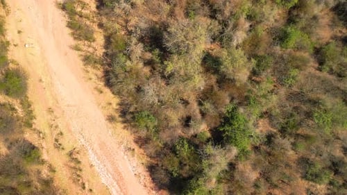 Aerial top view drone flying over river and arid desert.
