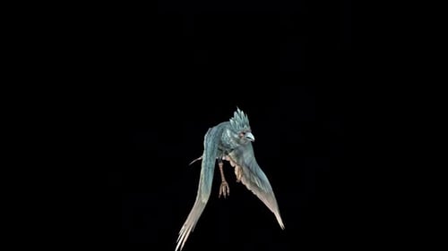 Realistic Animated Raven Flying with Alpha Channel