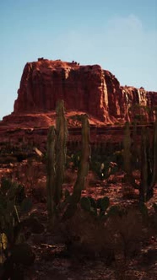 Desert Scene With Distant Mountain