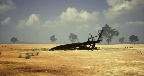 Dried Landscape Featuring a Fallen Tree and Sparse Vegetation in a Remote Area