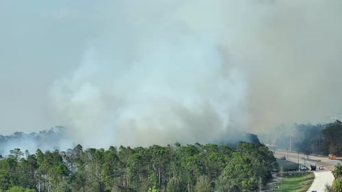 Emergency Service Firetrucks Extinguishing Wildfire Burning in Florida Jungle Woods Fire Department