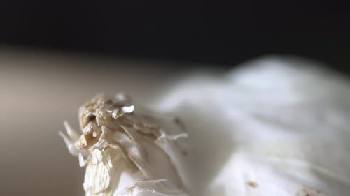 macro close up of unpeeled garlic on chopping board