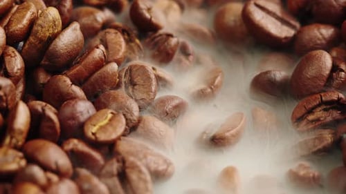 Roasting Coffee Beans with Smoke on Dark Background Close Up Arabica Robusta Colombian Beans