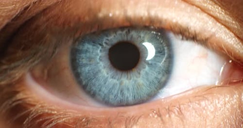 Blue eye, blink and iris in vision, eyesight and awareness for human sight and focus in optics