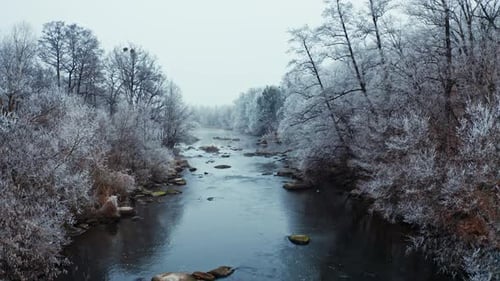 Luftbild des Winterflusses. Schneebedeckter Wald und Fluss im Winter von oben