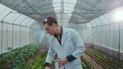 Young Man Examines Plants in Greenhouse
