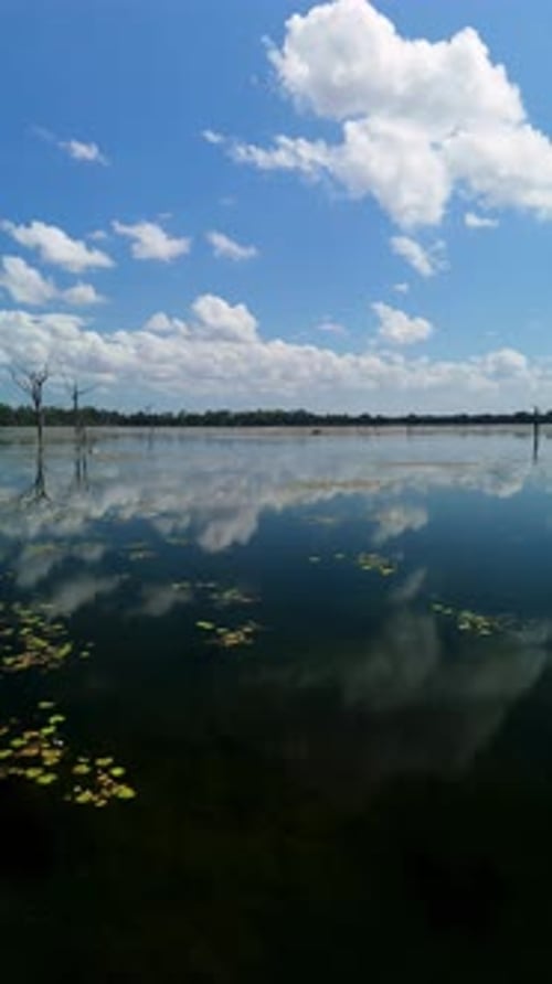 Survol aérien vertical du lac du temple de Neak Poan, Angkor Thom, Siem Reap