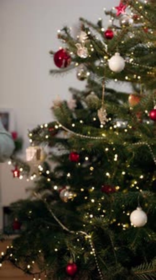 A Boy Standing Near a Christmas Tree Shoots a Slingshot at the Camera