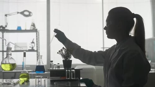 Woman Scientist Works in the Laboratory A Woman Uses a Pipette to Add a Blue Chemical to a Potted