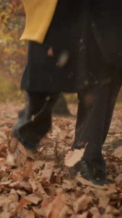 Playful Autumn Walk in Forest Kicking Leaves