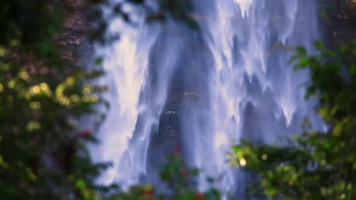 Close up footage of at a misty waterfall surrounded by green lush branches and trees.