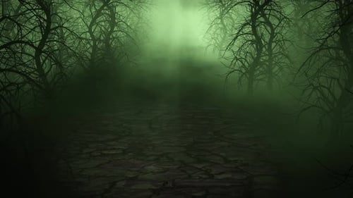Creepy Woods