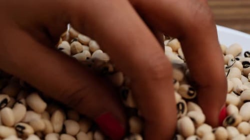 Hand Picking Dried Black Eyed Peas on Plate