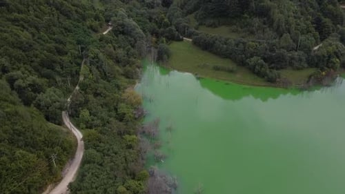 Green Lake And Forest Aerial View