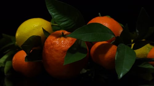 Citrus, orange, tangerines and lemons fresh fruits colorful texture, healthy diet with vitamins