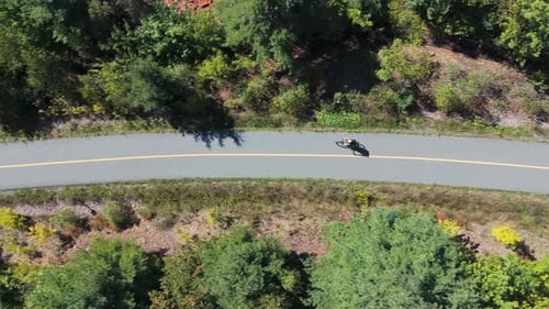 Ansicht: Athlet, Radfahrer, trainiert im Sommerpark am See bei strahlendem, sonnigem Wetter