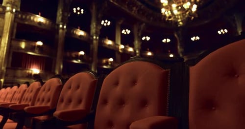 Elegant Theater Seating Exudes Vintage Charm and Opulence