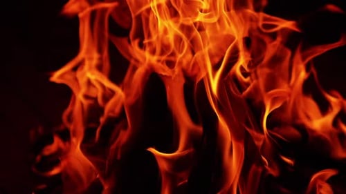 Dark chops of wood in the flames on bonfire. Close up view of the campfire at black backdrop.