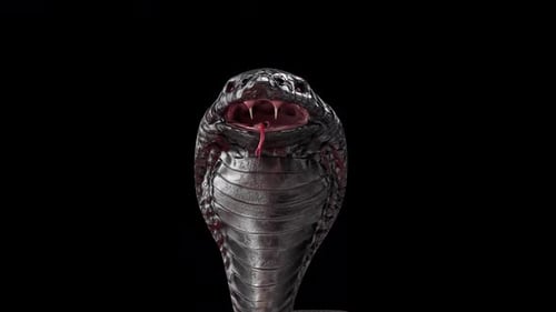 Serpent Cobra
