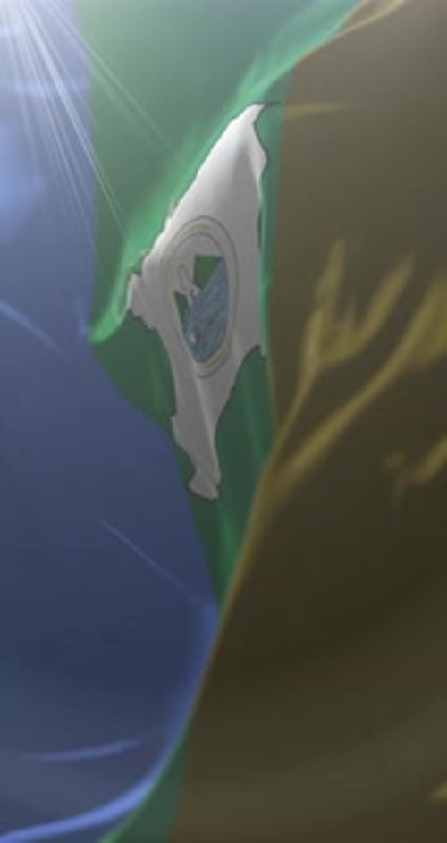 Dynamic Waving Flag with Emblem Reveal and Lens Flare