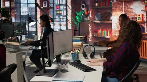 Startup Programmer Collaborating with Colleague to Test Company Software