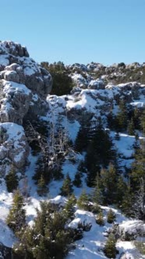 Through Snowy Hill