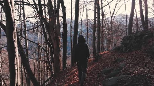 POV rear view unrecognizable person walking alone in alpine forest backlight, healthy lifestyle in b