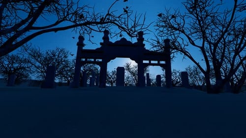 Halloween Night Ride Through Scary Dark Forest And Cemetery With Tombstones
