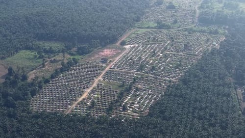Drone panorama of Chinese gravestones at Ulu Choh