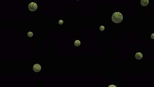 Falling watermelons over alpha channel. Rain of watermelons. Watermelons background.