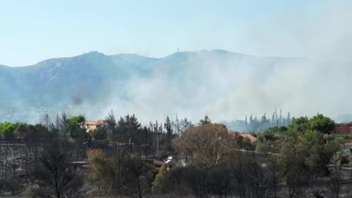 Slow motion pan wide view of catastrophic results of big forest fire at Parnitha mountain