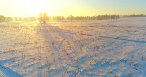 Aerial Drone View of Cold Winter Landscape with Arctic Field Trees Covered with Frost Snow and