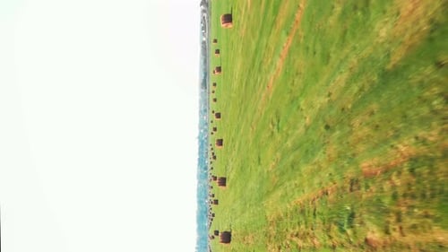 Field with haystacks