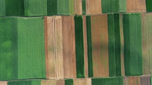 Aerial Top View of Agriculture Fields