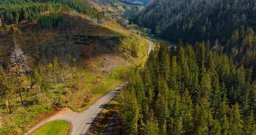 Aerial View of Car Driving Through Forest Road