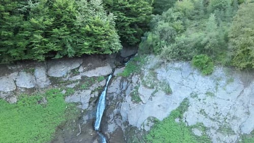 Waterfall Flowing in a Lush Green Forest