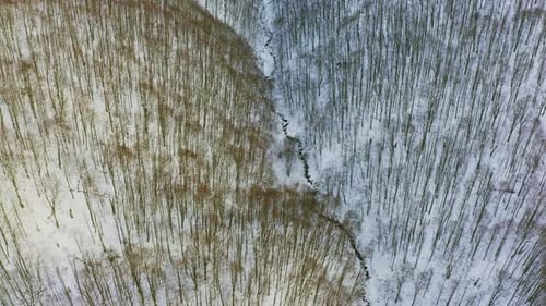 Haute montagne enneigée recouverte de sapins à feuilles persistantes par une journée froide et ensoleillée