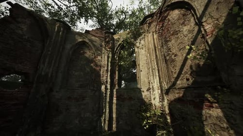 Ancient Monastery Ruins With Trees Ruins Stock Footage