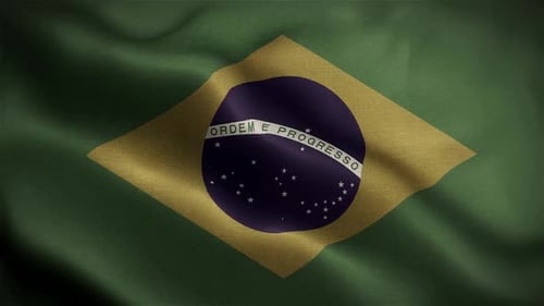 Waving Brazilian National Flag Realistic Loop