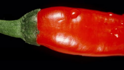Close Up of a Red Pepper with Water Droplets