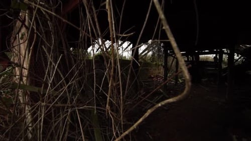 Slow pan from left to right of a condemned and overgrown building at an insane asylum, abandoned, de