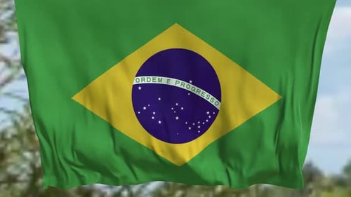 Waving Brazilian Flag with Realistic Motion