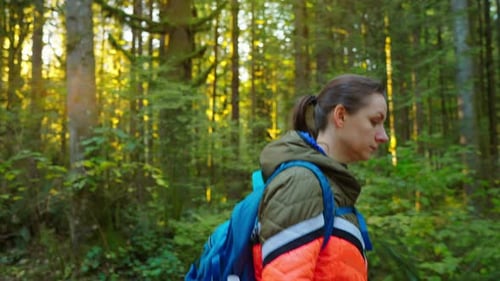 Woman with a Backpack Walks Through a Green Forest Stunning Canadian Nature