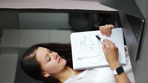 Woman Explains Graph During Video Conference Call