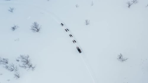Top Down Aerial Drown of Husky Sled Dog Team Riding Across Vast Snowy Landscapes in Kirkenes, Norway