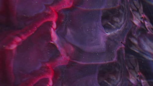 Abstract pink and purple fluid forms background