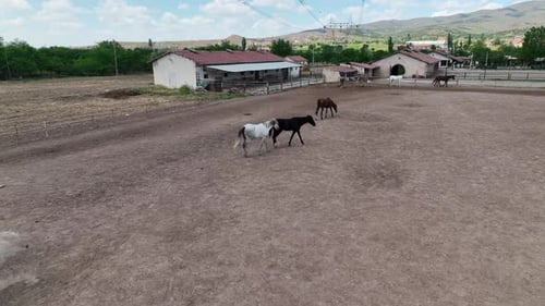 Horse Ranch High in the Mountains of Cappadocia Aerial View 4 K