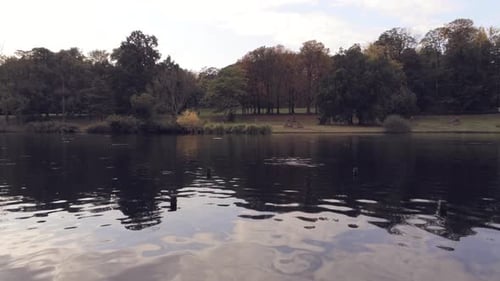 As cores do outono refletem em um lago calmo enquanto um drone passa rapidamente sobre aves aquáticas desavisadas, aeria