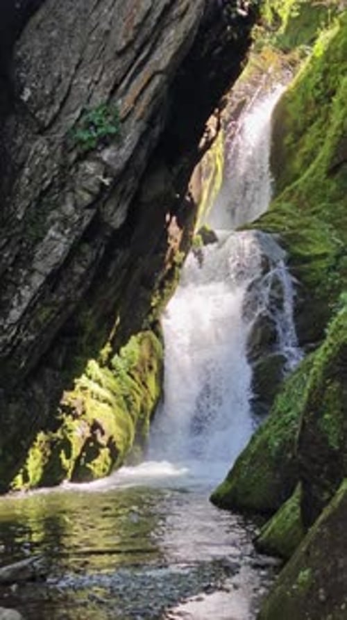 Majestic Forest Cascade Lush Woods with Falling Water Verdant Forest Scene Featuring Rushing