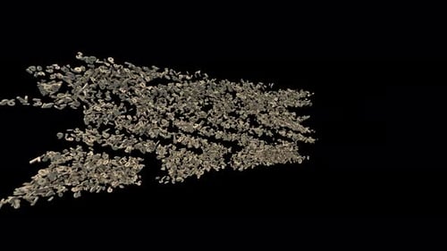 2025 Turn into 2026 New Year Animation. Happy New Year 2026 Made of Numbers